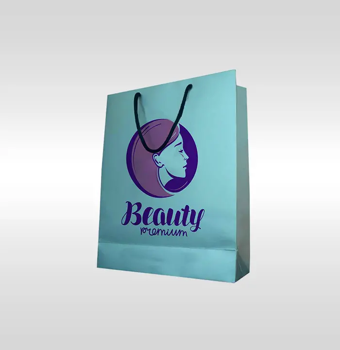 Art Paper Shopping Bag